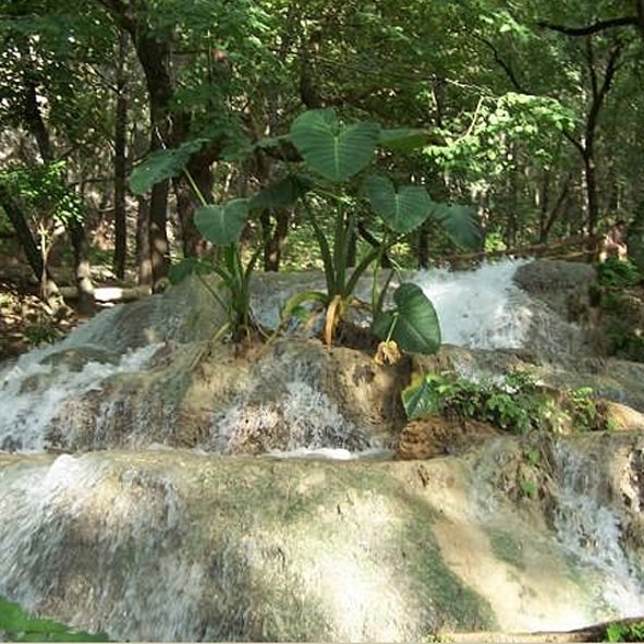 Visita el Salto de Zaragoza en la Ruta Bellezas Naturales de Nuevo León